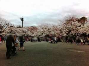 s-②桜