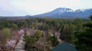 s-佐藤造園