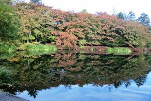 s-雲場池